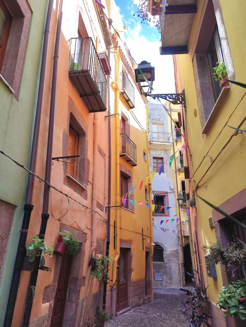 Clicca per ingrandire la foto