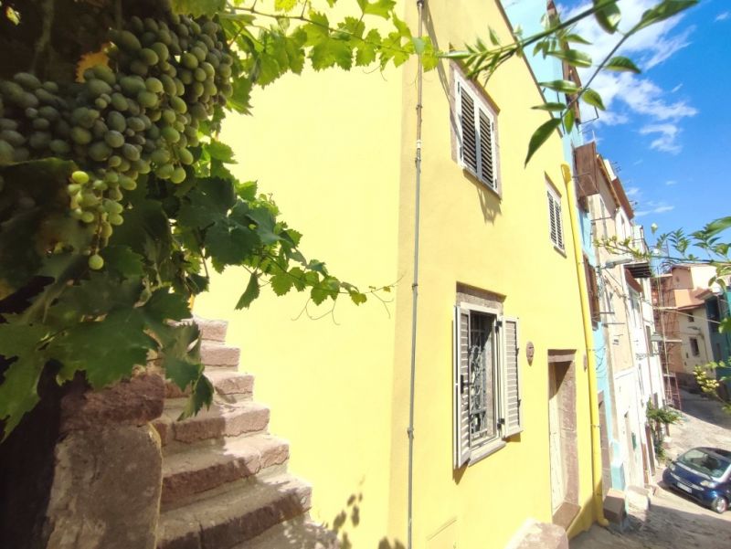 Clicca per ingrandire la foto